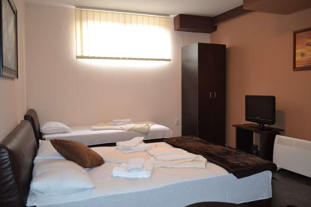 Guesthouse Vila Dnd Niska Banja Room photo